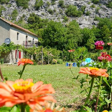 Camp Podkraj Virpazar Exterior foto